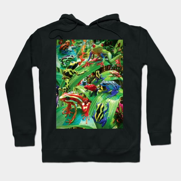 Funky Frogs Hoodie by David Penfound Artworks